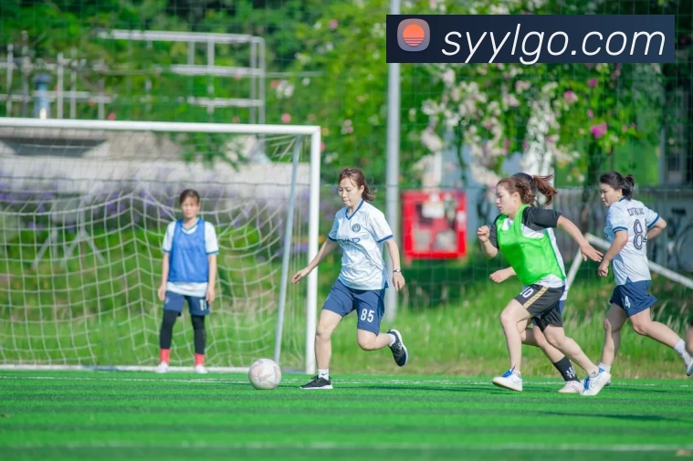 顺盈娱乐官网APP 封面图