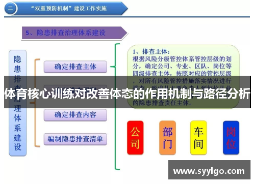 体育核心训练对改善体态的作用机制与路径分析