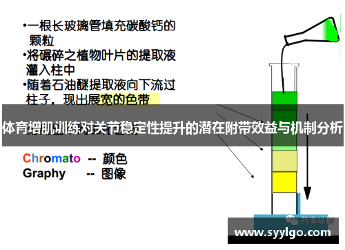 体育增肌训练对关节稳定性提升的潜在附带效益与机制分析
